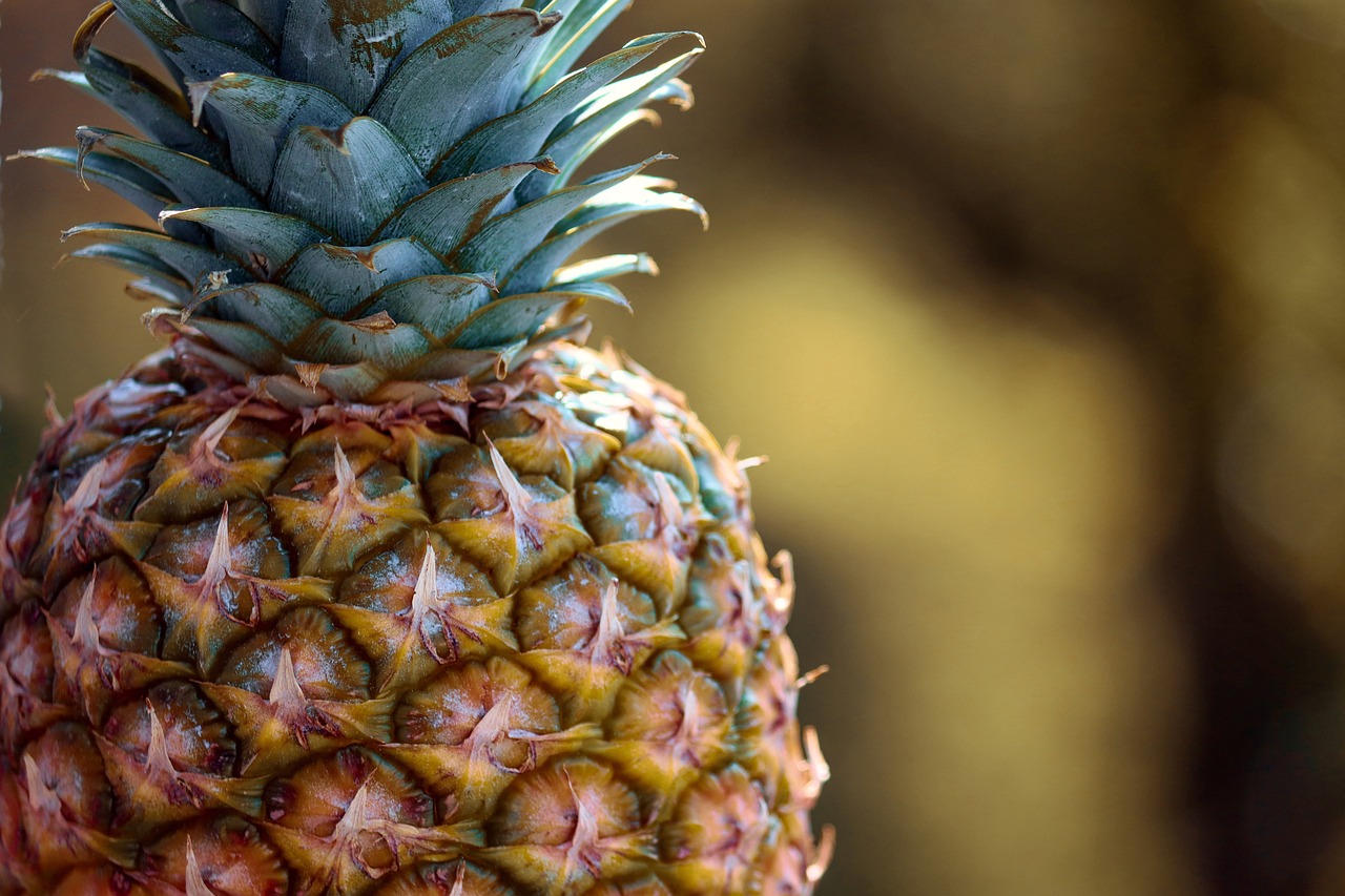 How to Plant a Pineapple Stem